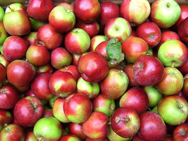 10 Delicious Apple Recipes for Autumn