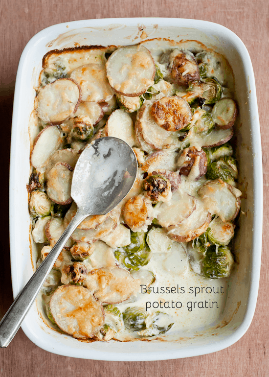 Brussels+sprout+potato+gratin+for+Thanksgiving