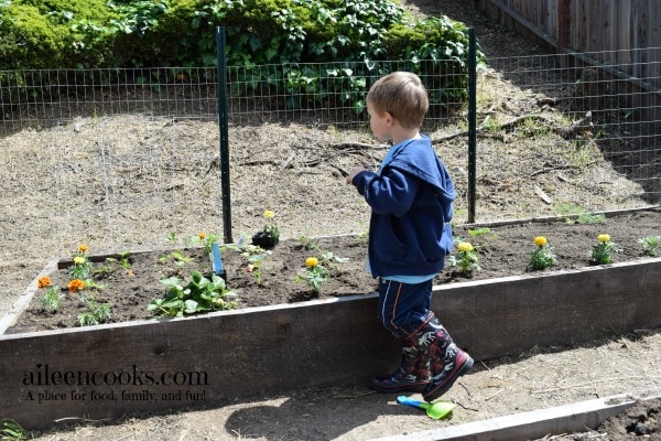 9 Reasons to Garden With Kids from aileencooks.com