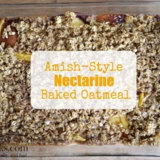 This Amish-Style Nectarine Baked Oatmeal is a frugal and filling breakfast made with rolled oats, nectarines, eggs, milk, and spices. You can prep it the night before for an easy breakfast or prepare it as a freezer meal.