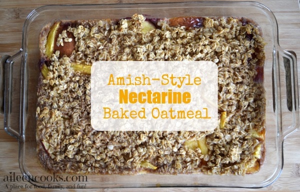 This Amish-Style Nectarine Baked Oatmeal is a frugal and filling breakfast made with rolled oats, nectarines, eggs, milk, and spices. You can prep it the night before for an easy breakfast or prepare it as a freezer meal.