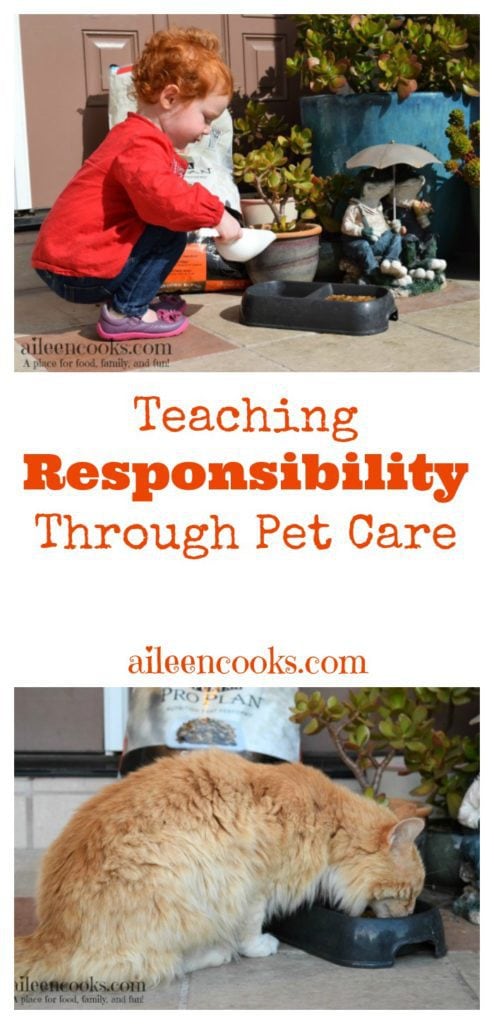 Teaching responsibility through pet care is easy to start with toddlers