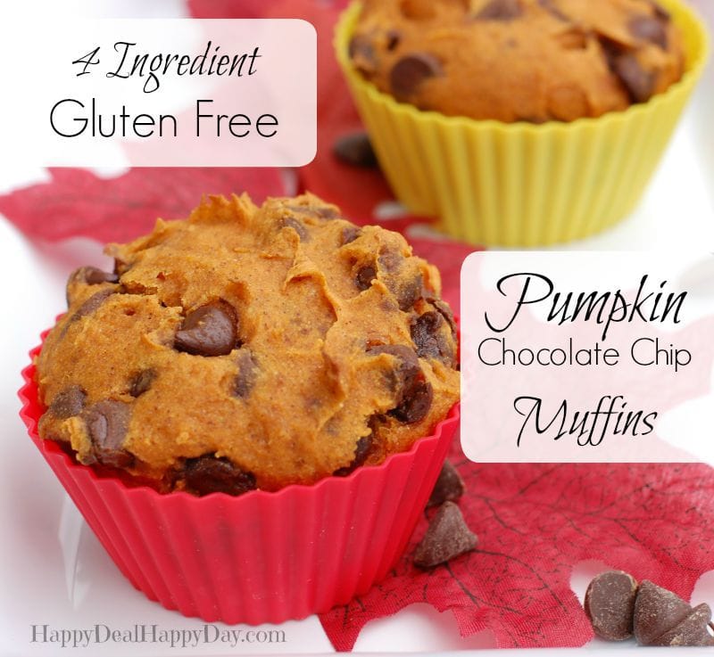 4-ingredient-gluten-free-pumpkin-muffin-chocolate-chip-muffin-pumpkin-chocolate-chip-muffin
