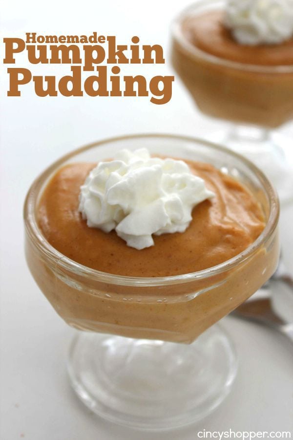 homemade-pumpkin-pudding-1