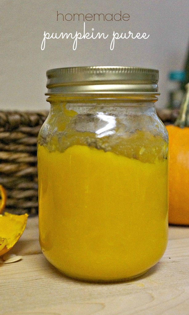 homemade-pumpkin-puree-using-fresh-pumpkins-614x1024