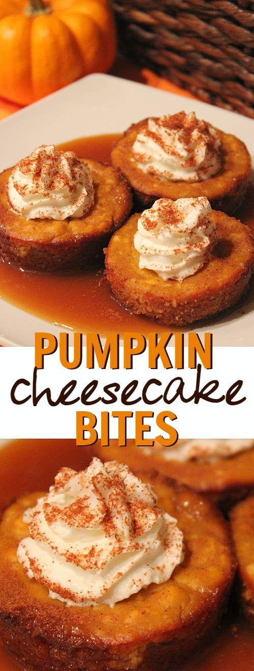 pumpkin-caramel-cheesecake-bites-dessert-recipe-this-is-such-a-delicious-fall-pumpkin-dessert-idea1