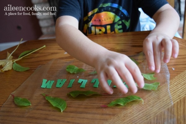 Fall Leaf Placemats are a fun Fall preschooler activity that incorporates nature and name recognition. Post from aileencooks.com.