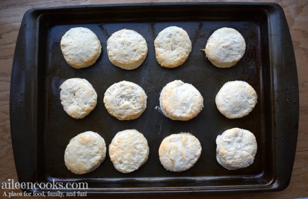 fast and easy biscuits made from scratch make the perfect addition to your thanksgiving or christmas dinner. They also make an amazing topper on soups and stews. Recipe from aileencooks.com. 