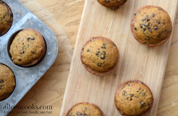 Quick and easy pumpkin chocolate chip muffins, perfect for breakfast, sports games, or pot lucks. This recipe takes 30 minutes and makes 3 dozen muffins! Recipe from aileencooks.com.