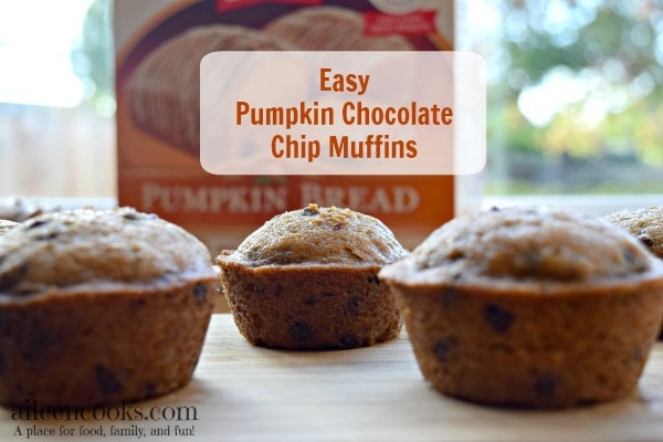 Quick and easy pumpkin chocolate chip muffins, perfect for breakfast, sports games, or pot lucks. This recipe takes 30 minutes and makes 3 dozen muffins! Recipe from aileencooks.com.