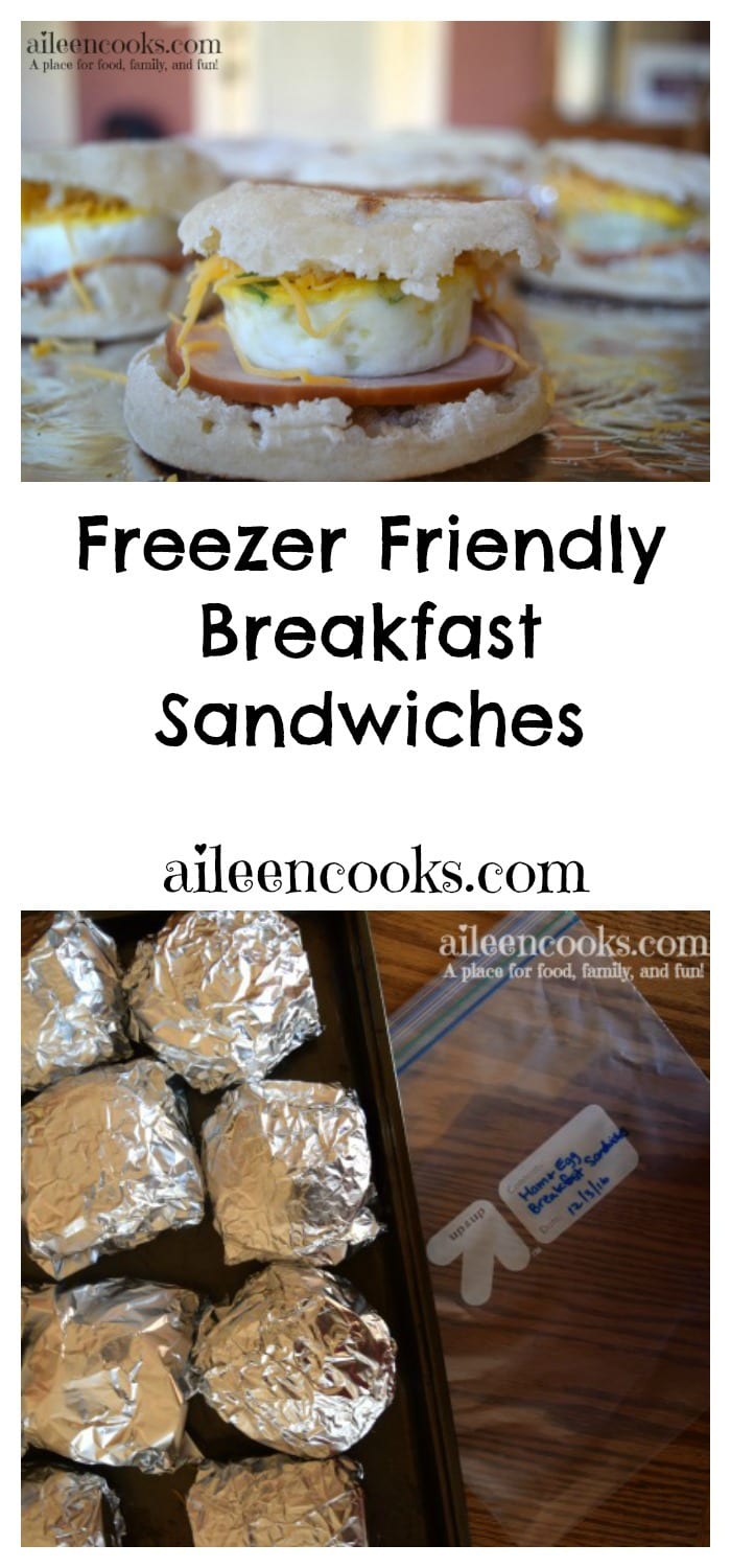 Freezer Friendly Ham and Egg Breakfast Sandwiches. Make ahead meals. Freezer Cooking. Once A Month Cooking. Freezer Friendly Breakfast. Recipe from aileencooks.com