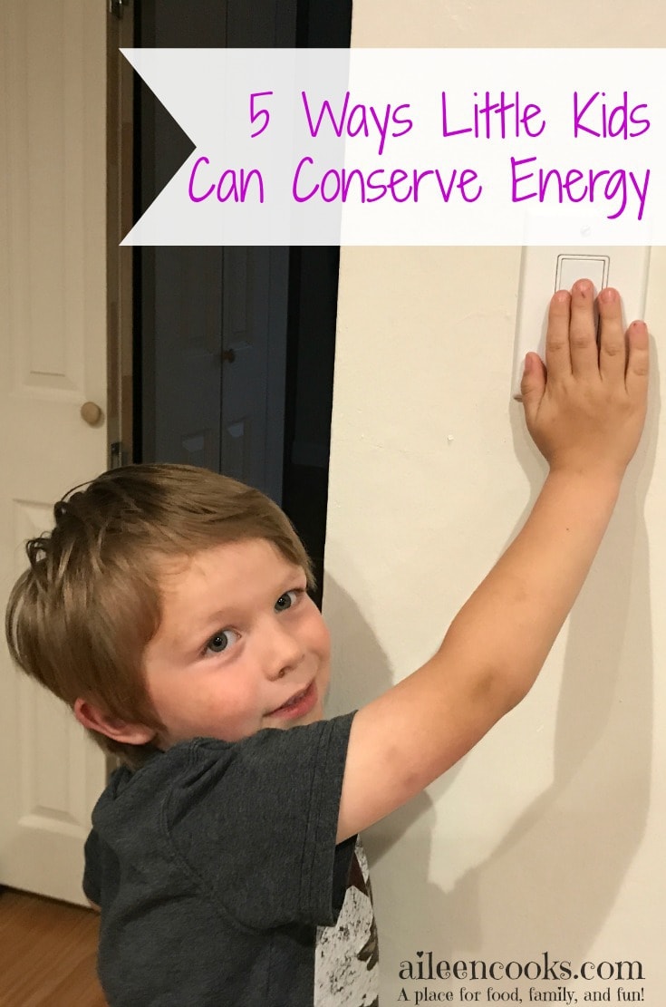 5 Ways Little Kids Can Conserve Energy Aileen Cooks