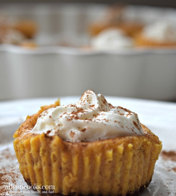 Pumpkin Cheesecake Cupcake topped with cinnamon and whipped cream.