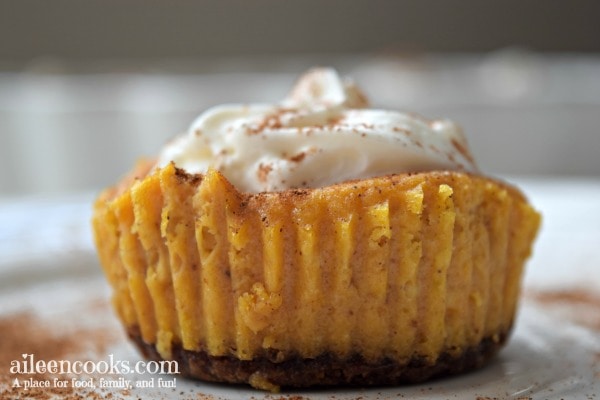 Close up of a mini pumpkin cheesecake with ginger snap bottom and topped with spiced whipped cream