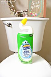 scrubbing bubbles toilet bowl cleaner