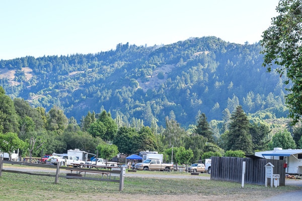 Rolling hill views from Casini Ranch campground on the Russian River. 