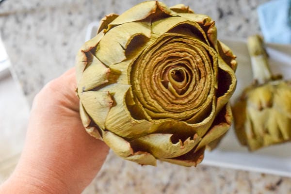 close up of a pressure cooker artichoke.