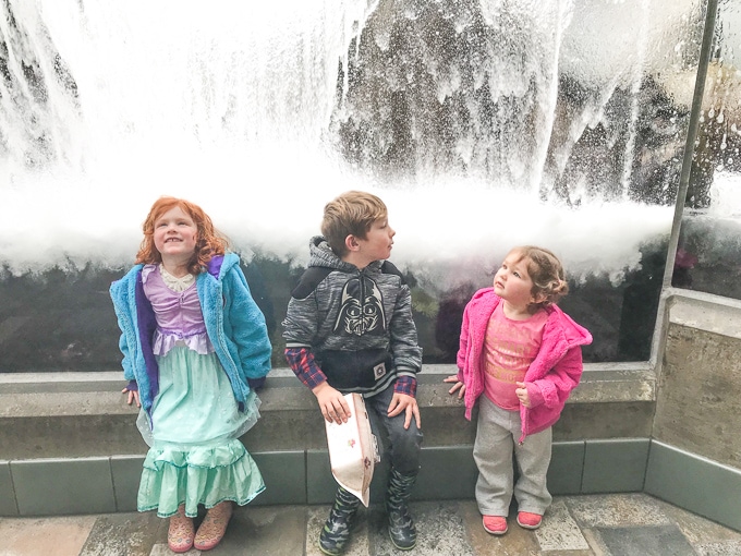 Three kids standing under the wave simulation at Monterey Bay Aquarium.