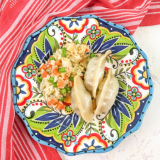 A colorful plate filled with fried rice and pot stickers, on top of a red striped towel.