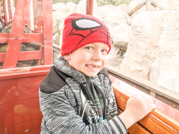 A little boy in a spider man hat, riding the Disneyland Railroad at Disneyland in Winter.