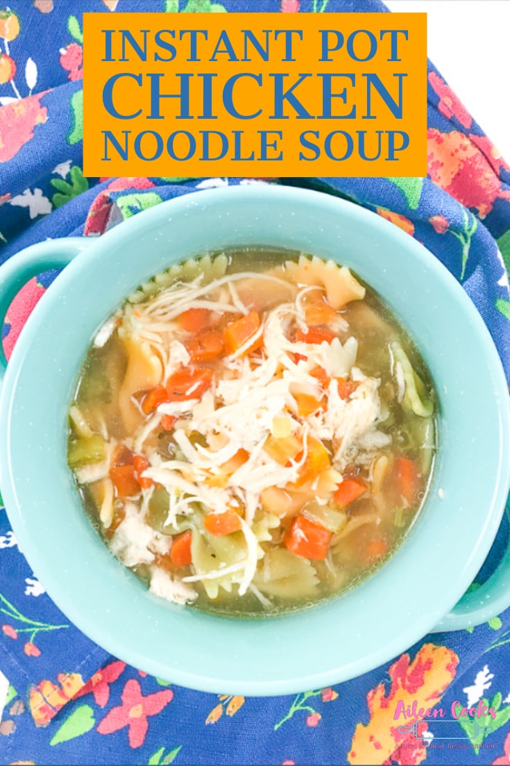 Instant Pot Chicken Noodle Soup Recipe