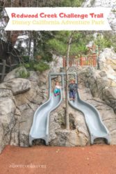 Two children on the top of the slides at the Redwood Creek Challenge Trail inside Disney California Adventure Park