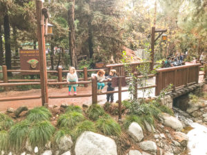 Three kids climbing on a fence and surrounded by redwood trees at the Redwood Creek Challenge Trail in Disney California Adventure.