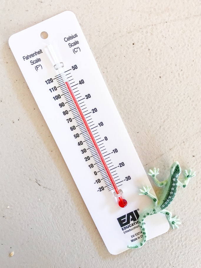 A white thermometer next to a small toy lizard.