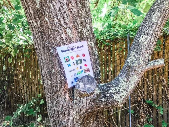 Nature Scavenger Hunt Printable propped up on a tree.