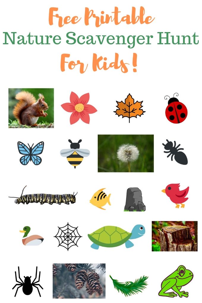 A printable scavenger hunt featuring 20 clip art images of plants, animals, and insects.