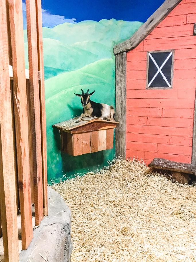 A goat hanging out on top of a house shaped box.