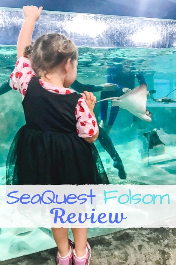 A little girl watching the sting rays through glass.