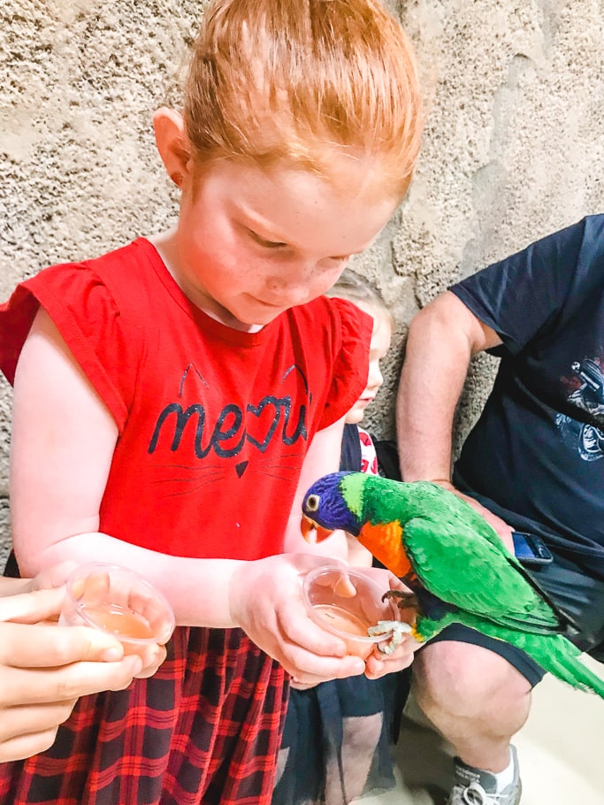 A redheaded girl holding a bird at SeaQuest.