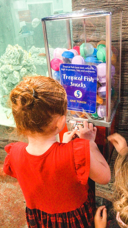 A girl buying fish food with a token at SeaQuest Folsom.