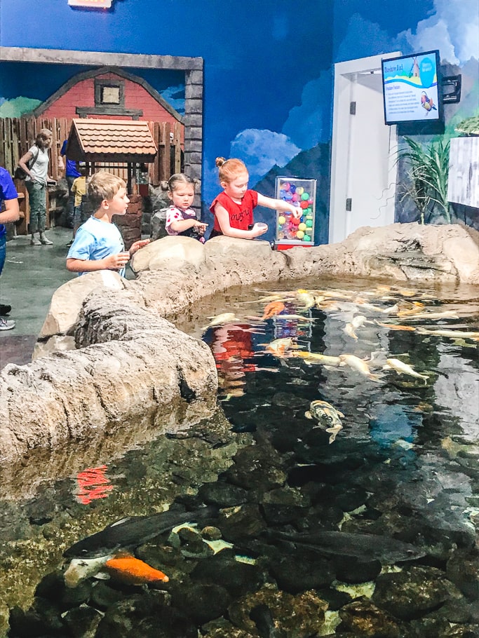 Three kids feeding the fish in the Koi Pond.