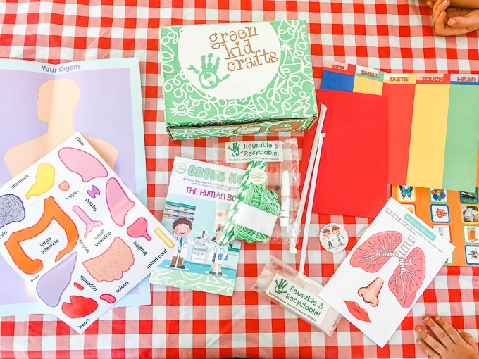 All of the materials for the green kid crafts human body lab on a red and white checkered tablecloth.
