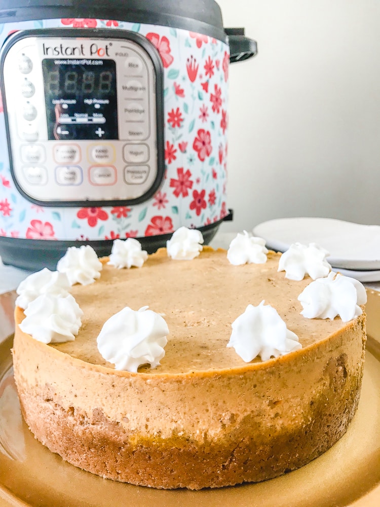 Instant pot ramekin cheesecake sale