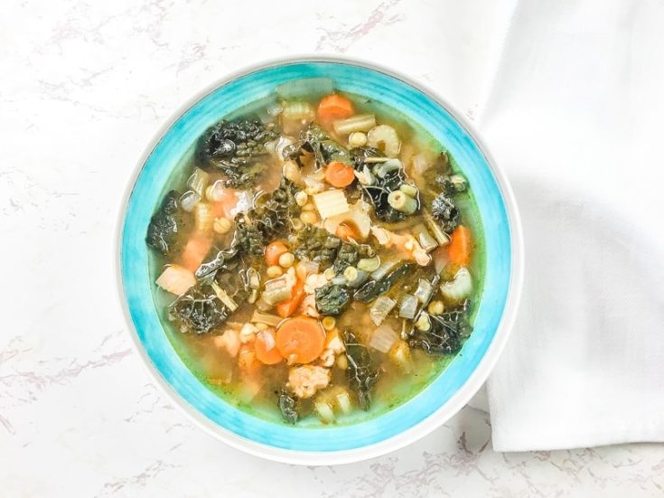 Healthy Instant Pot Chicken Vegetable Soup Aileen Cooks