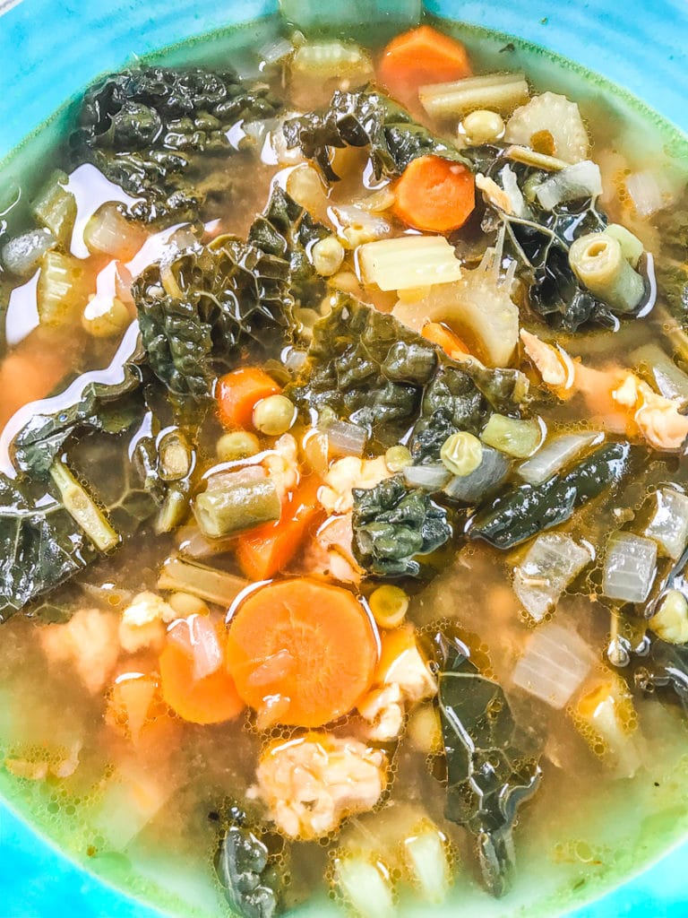 Healthy Instant Pot Chicken Vegetable Soup - Aileen Cooks