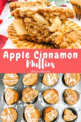 Apple Cinnamon Muffins Aileen Cooks