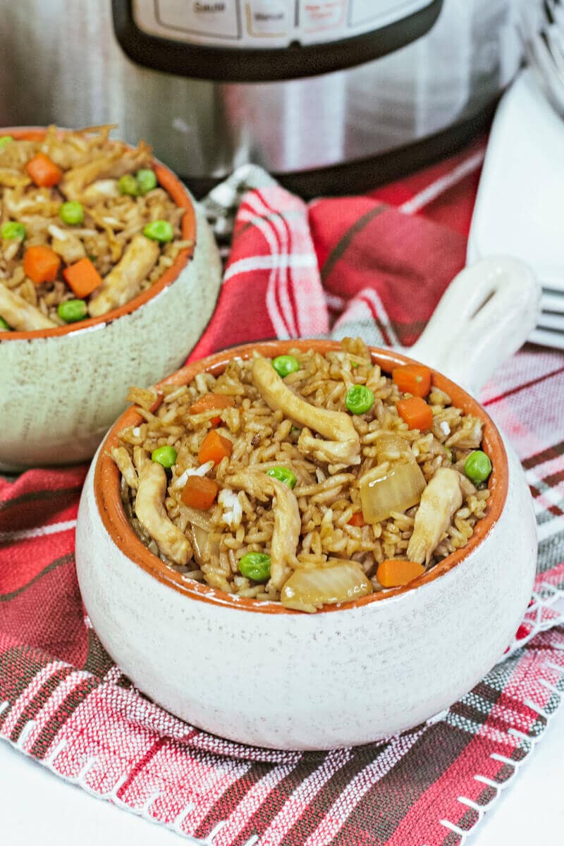 Two speckled bowls with handles filled with fried rice.