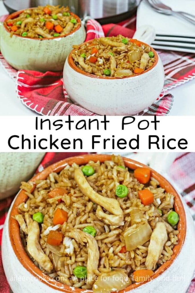Better Than Take-Out Instant Pot Chicken Fried Rice - Aileen Cooks