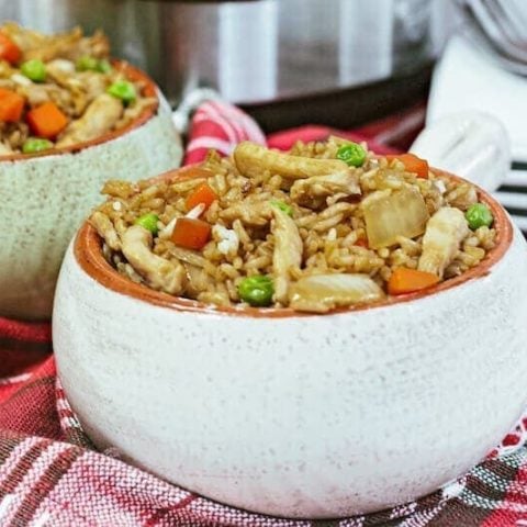 Side view of a white bowl filled with fried rice.