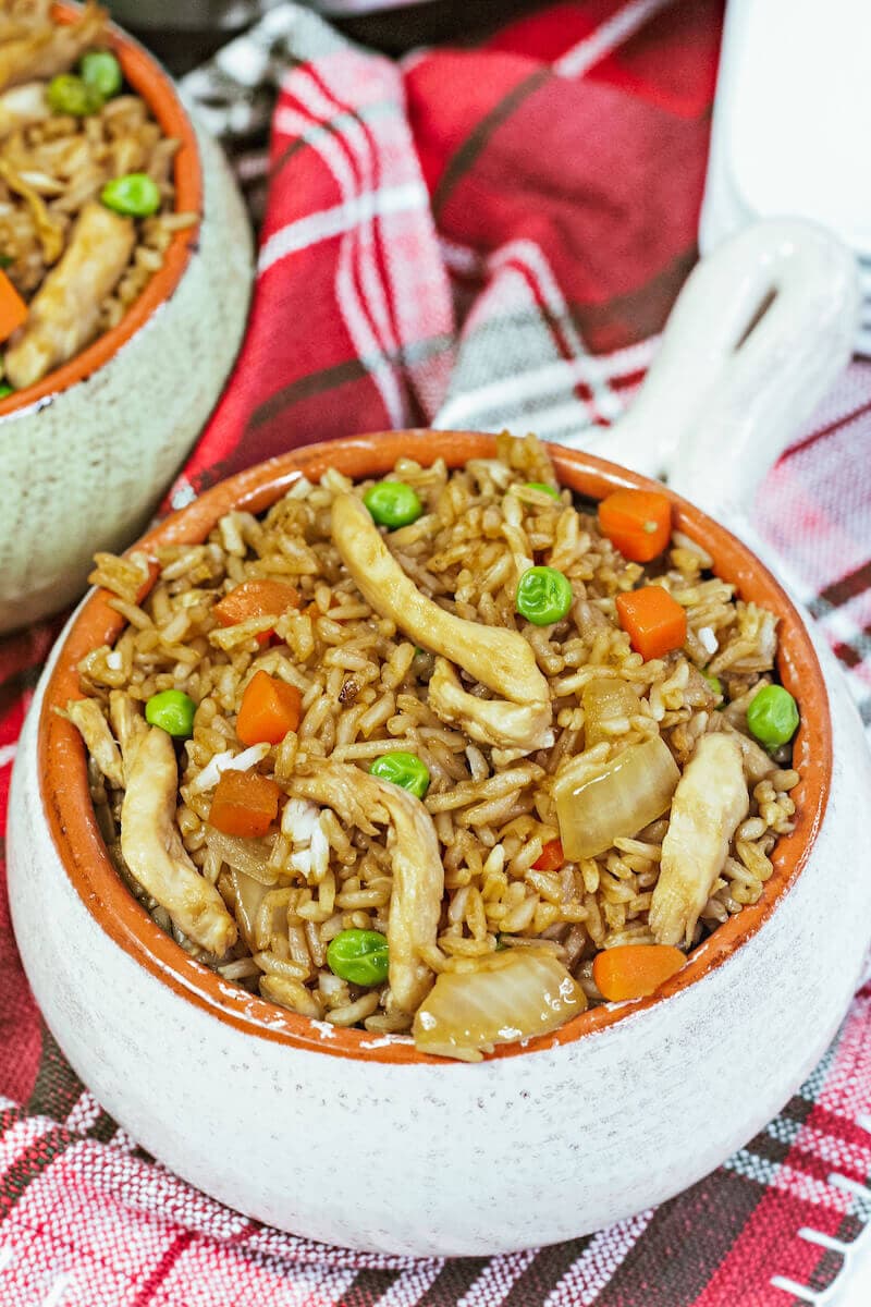 Close up of chicken fried rice in a white speckled bowl.