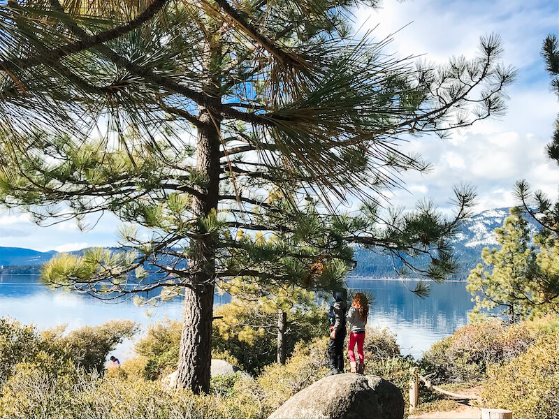 Two kids standing on a large rock under a tree. 