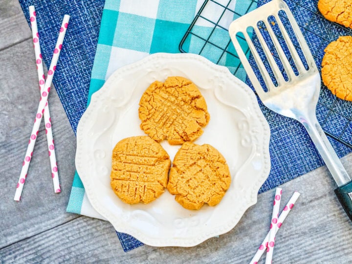 3 Ingredient Peanut Butter Cookies - Aileen Cooks