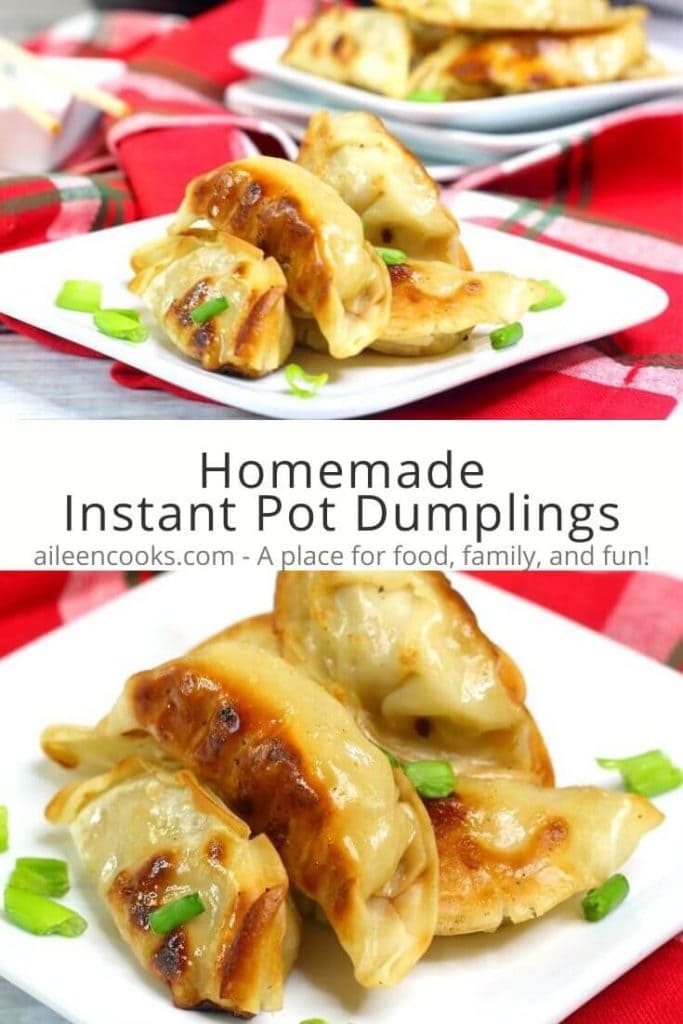 Collage photo of pot stickers on a white plate with the words "homemade instant pot dumplings" in brown lettering.