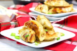 A plate of pot stickers with golden brown edges and topped with sliced green onions.
