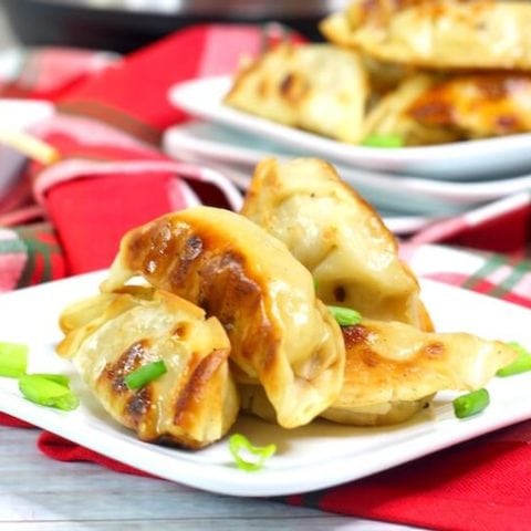 A plate of pot stickers with golden brown edges and topped with sliced green onions.