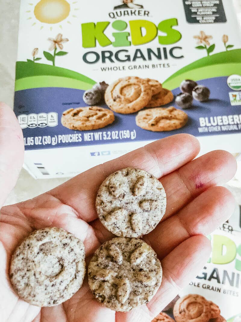 A hand holding three Quaker Kids Organic Blueberry Bites next to the packaging.